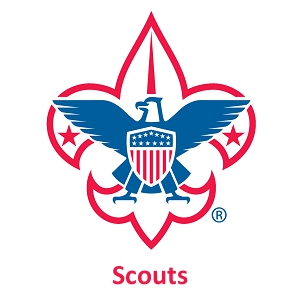 PL_scouts-thumbnail