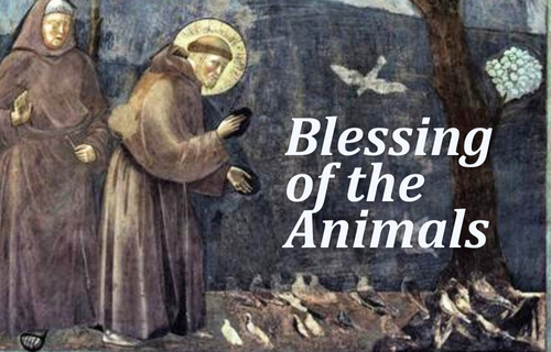 Blessing of the Animals