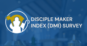 DMI Survey Website
